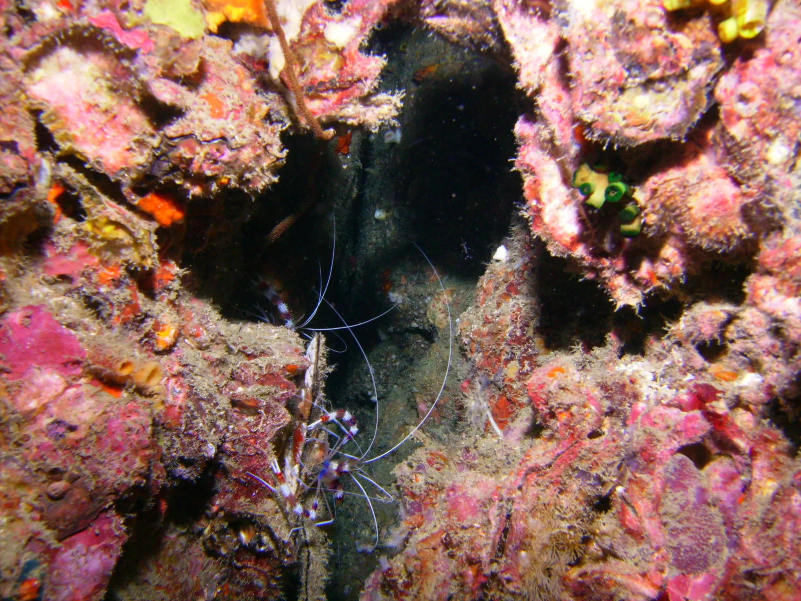 PICT0011.JPG