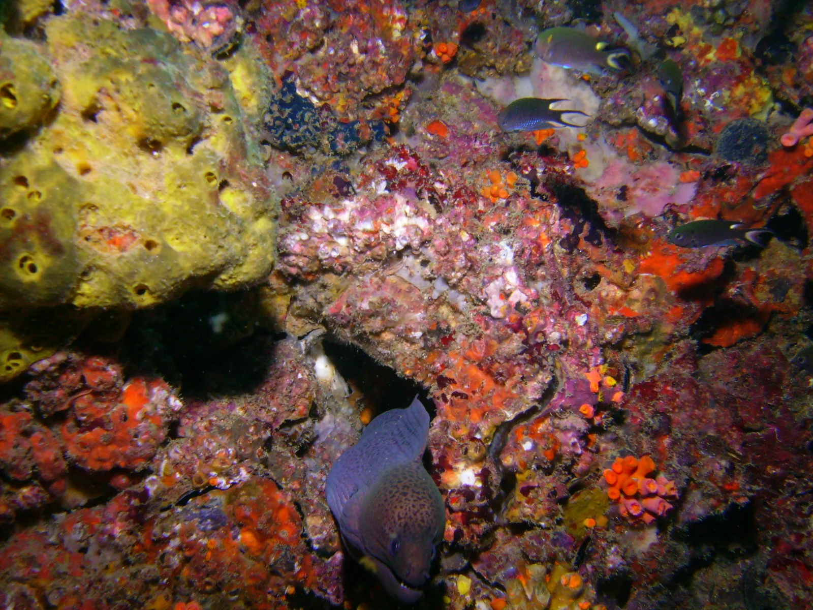 PICT0017.JPG