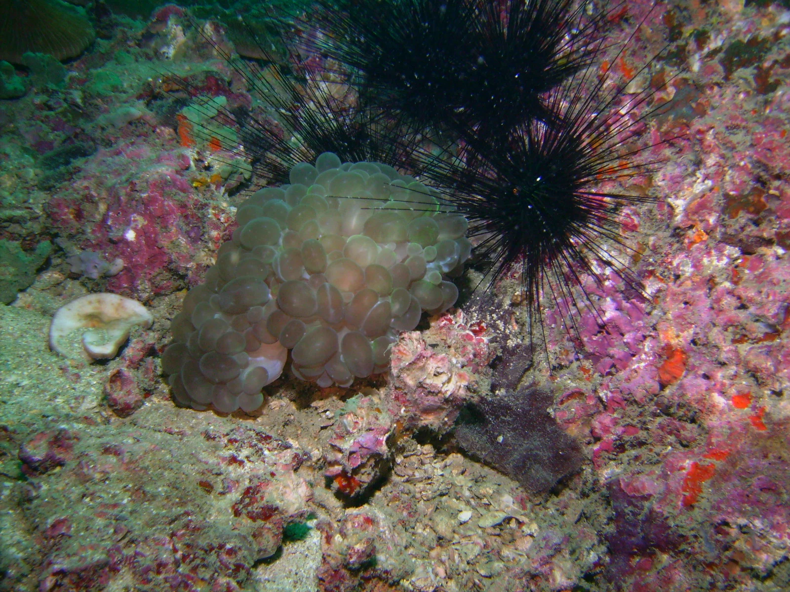 PICT0022.JPG