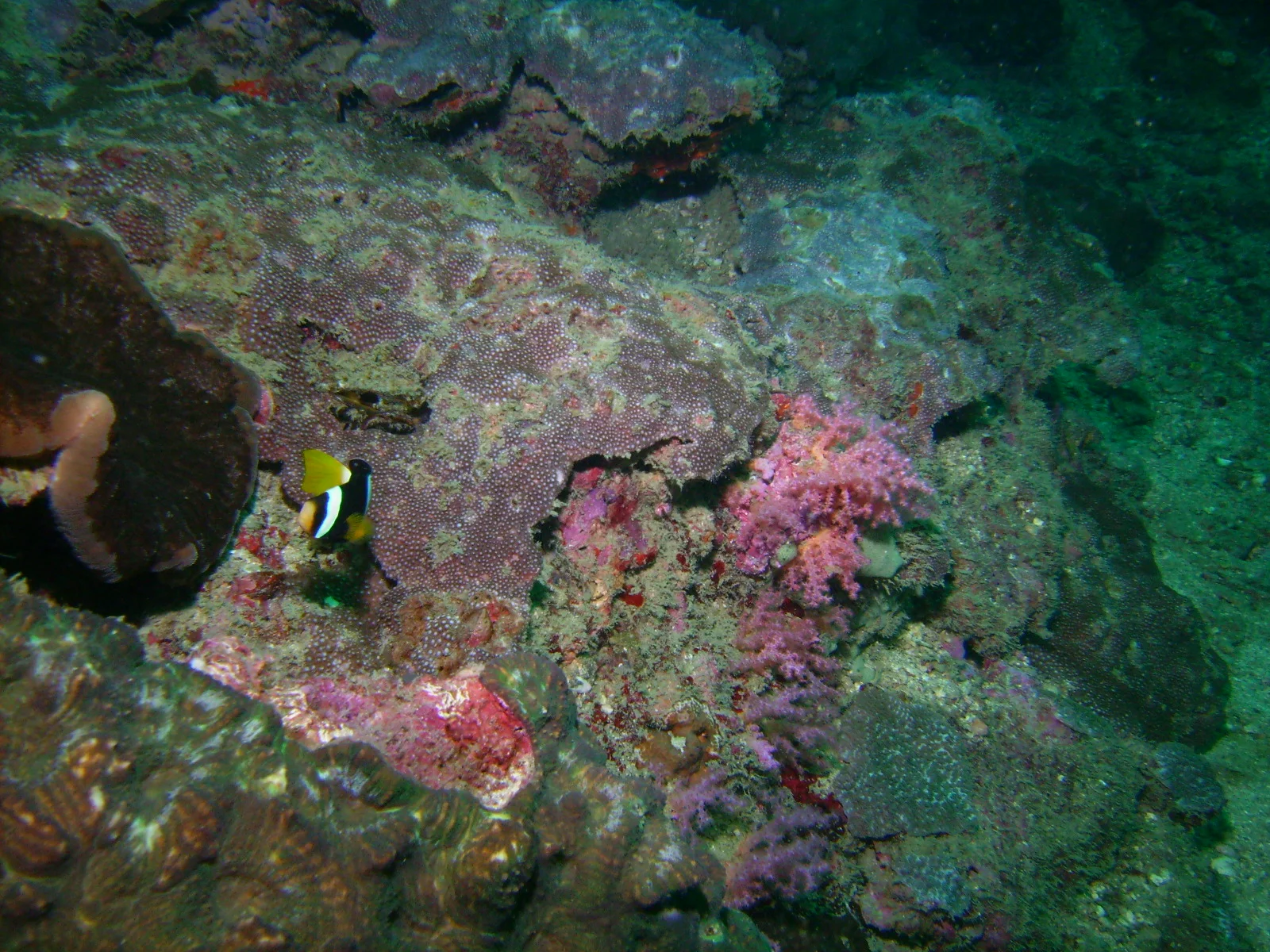 PICT0028.JPG