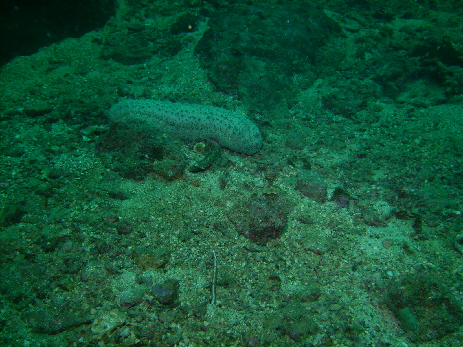 PICT0029.JPG