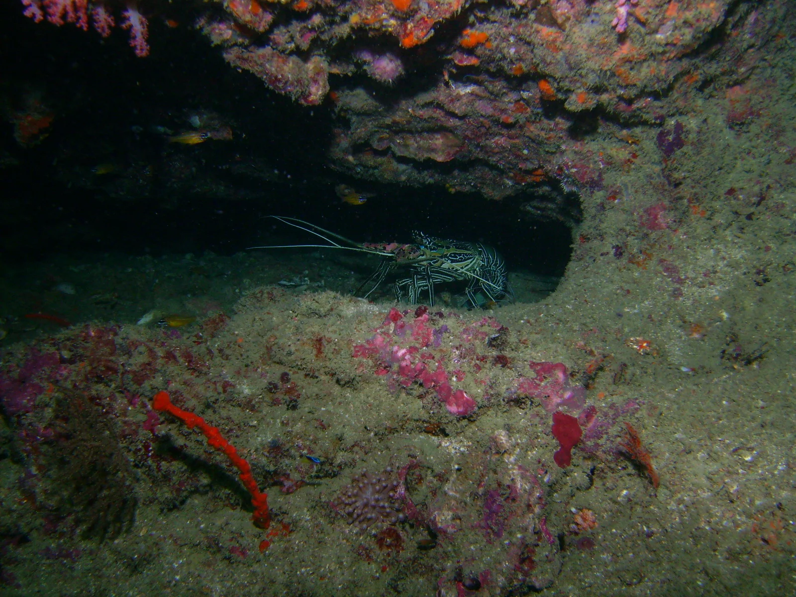PICT0044.JPG