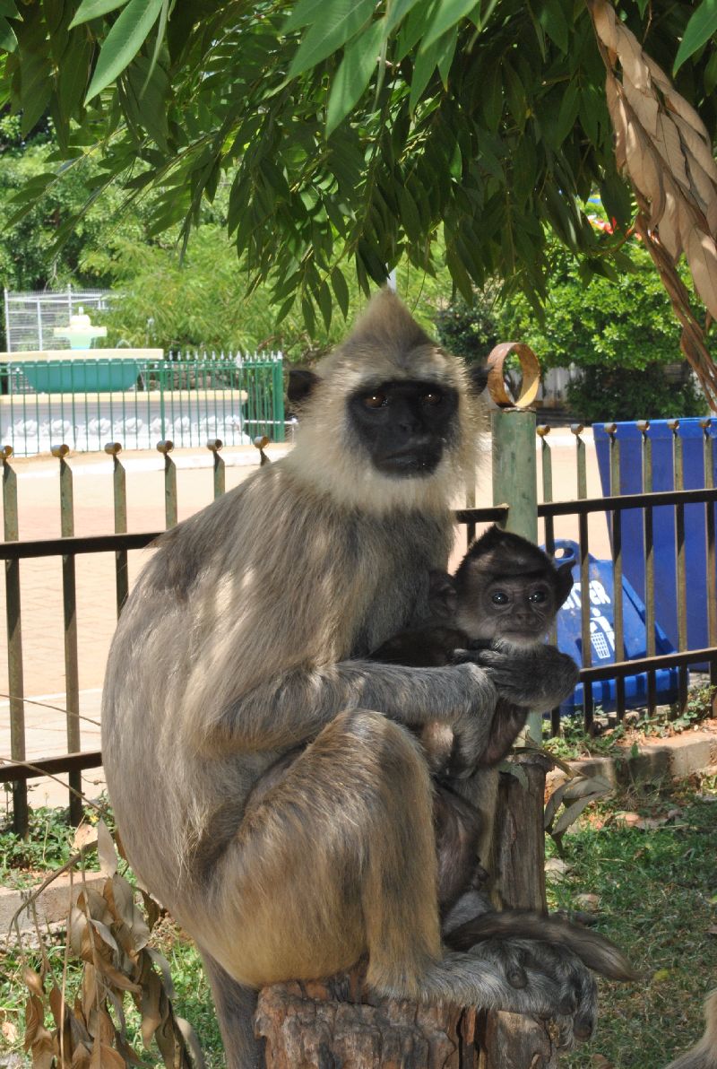 DSC_0847.JPG