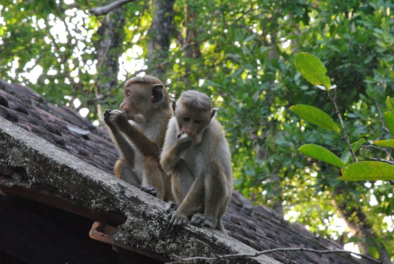 DSC_0937.JPG