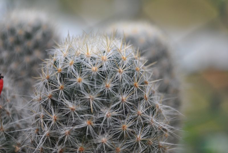 DSC_1561.JPG