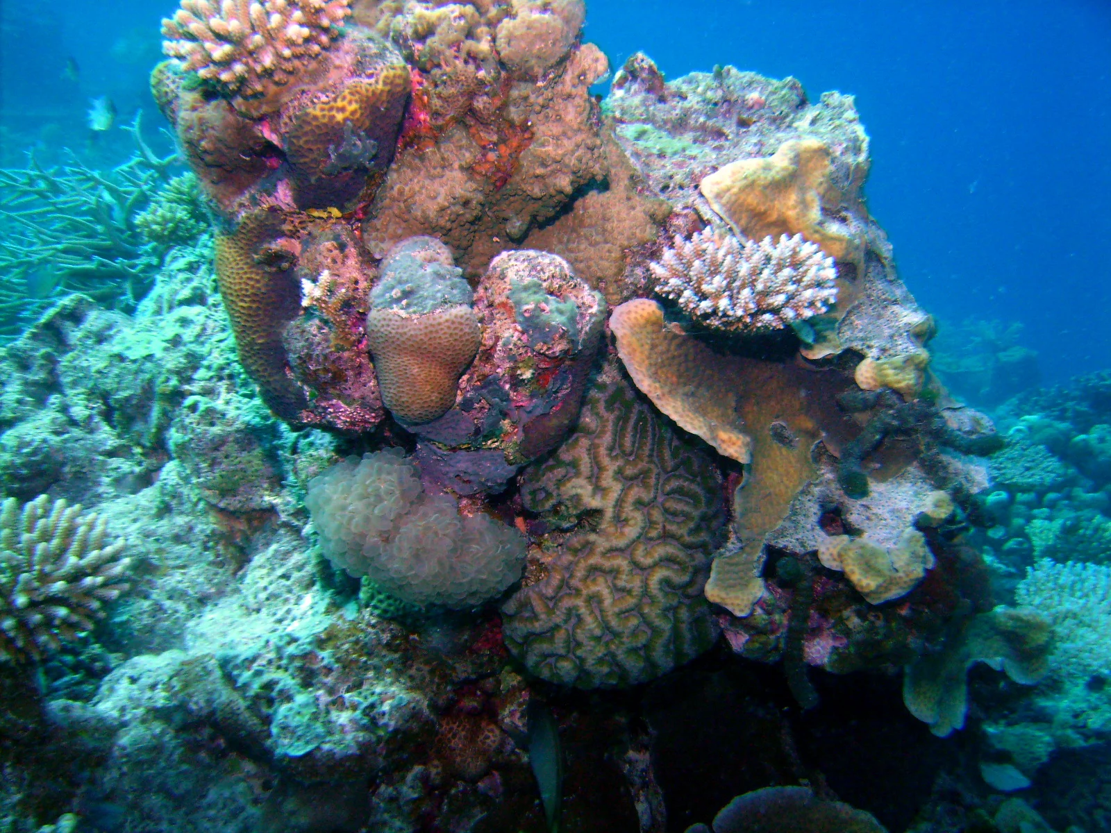 PICT0003.JPG