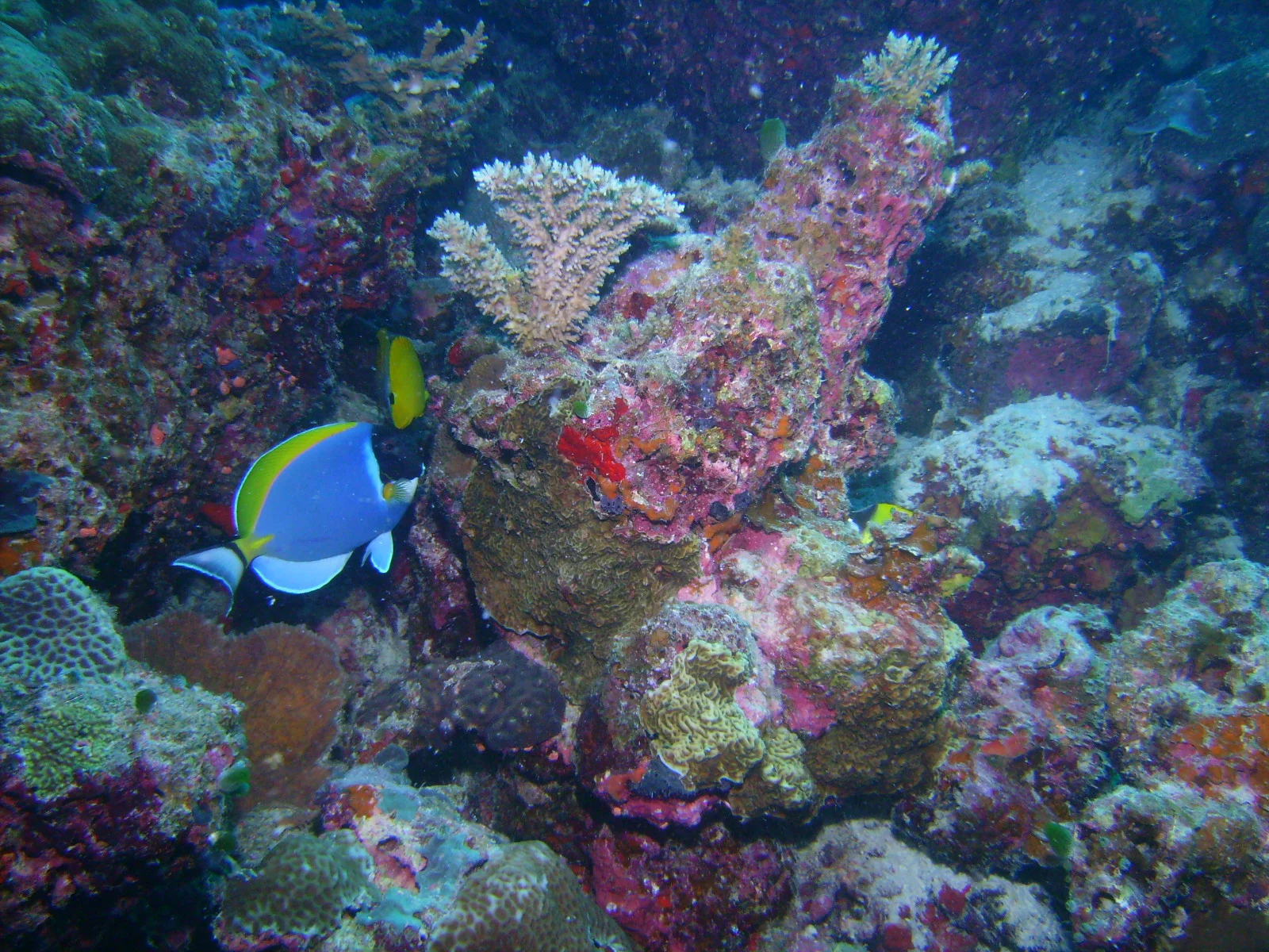 PICT0015.JPG