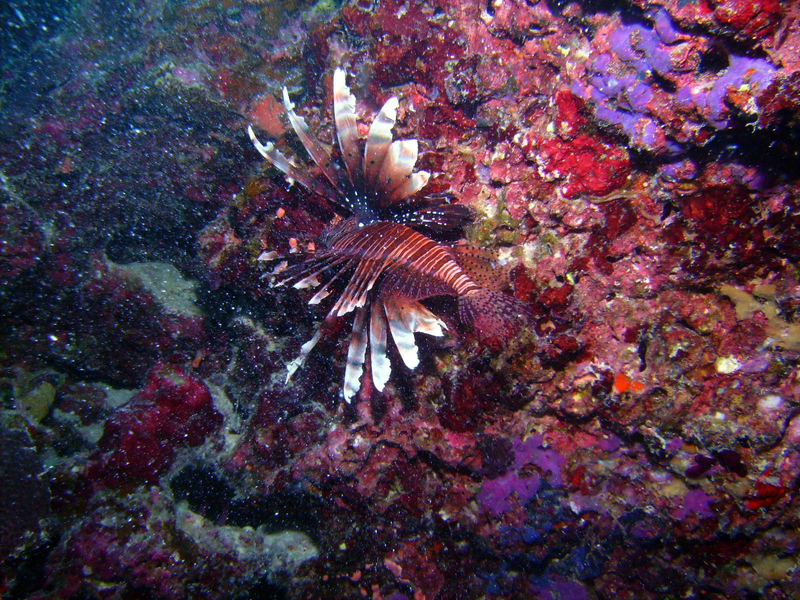 PICT0014.JPG