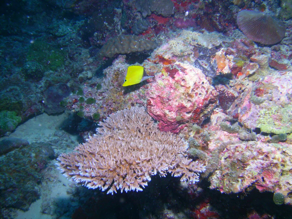 PICT0020.JPG