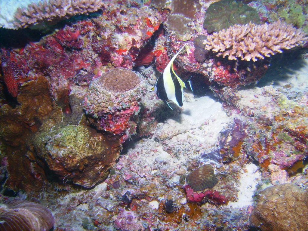PICT0023.JPG