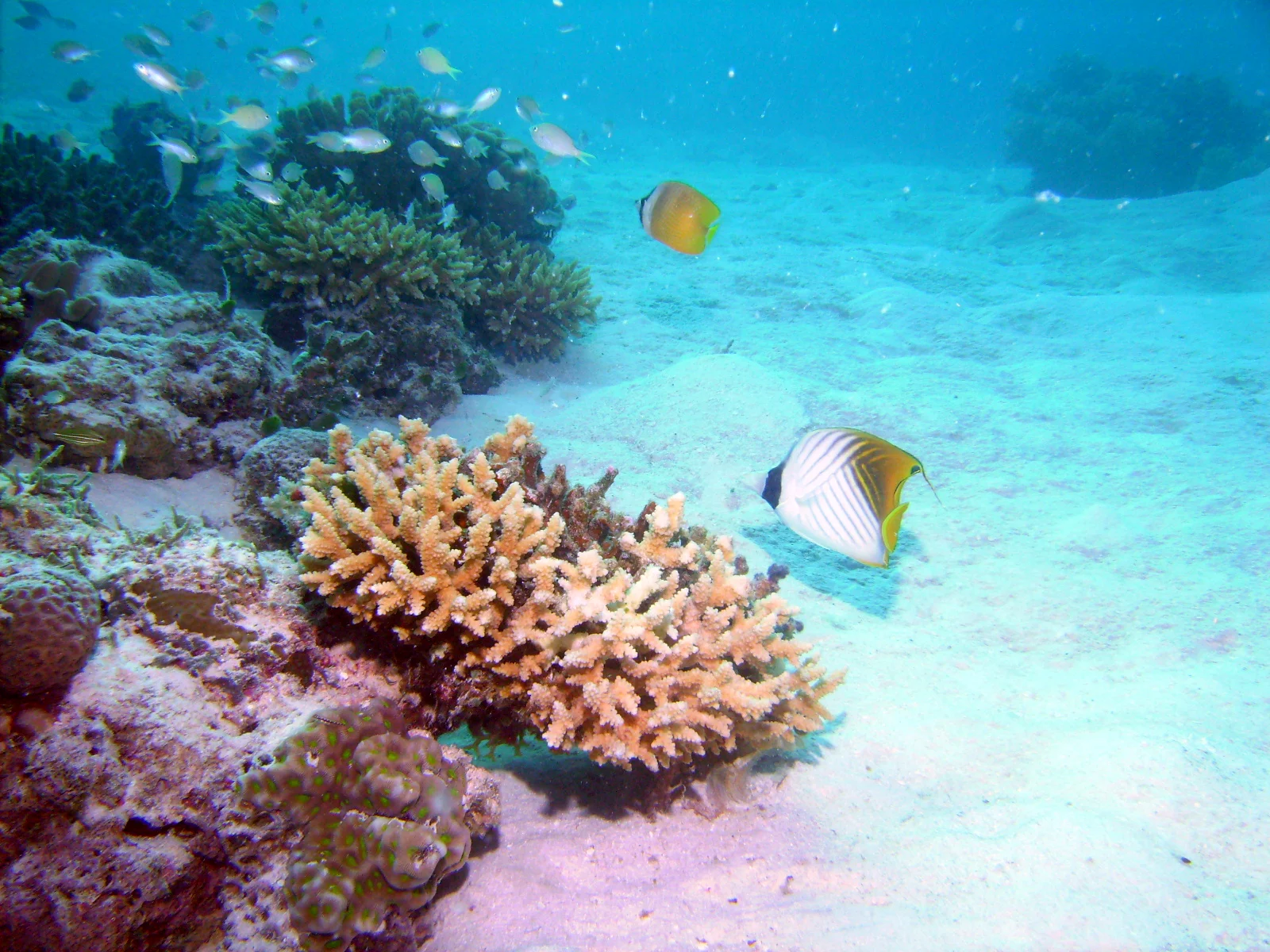 PICT0052.JPG