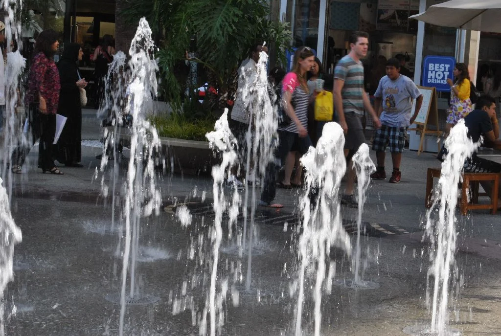 DSC_3819.JPG
