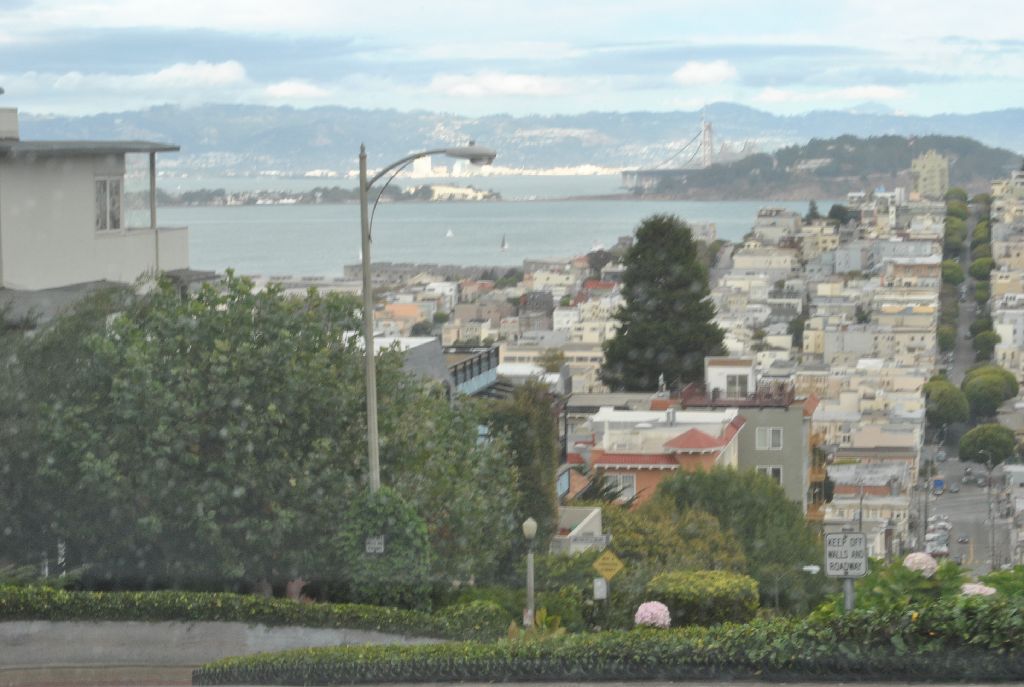 DSC_3650.JPG
