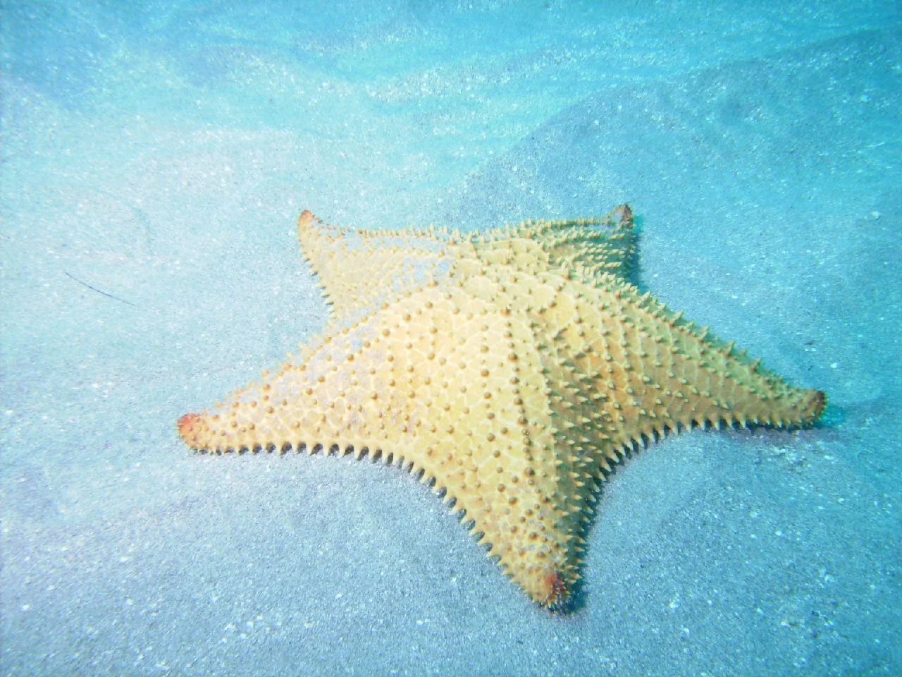 PICT0021.JPG