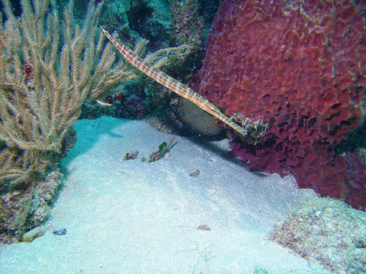 PICT0026.JPG