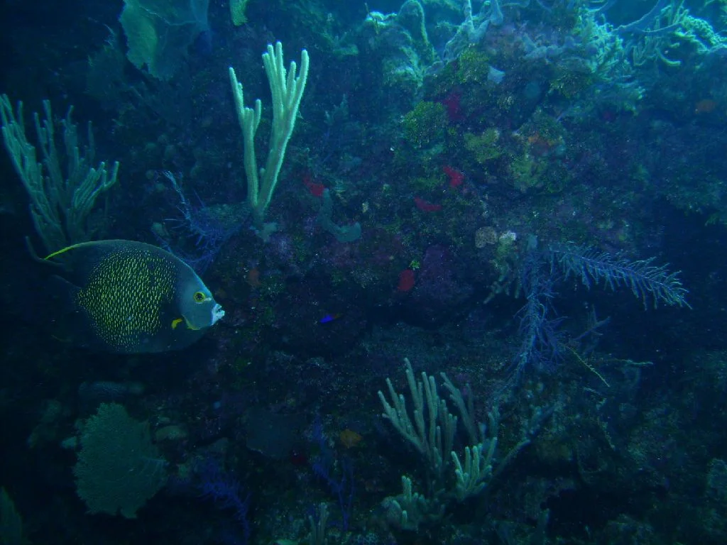 PICT0010.JPG