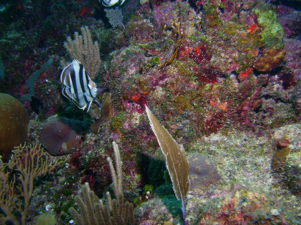 PICT0011.JPG