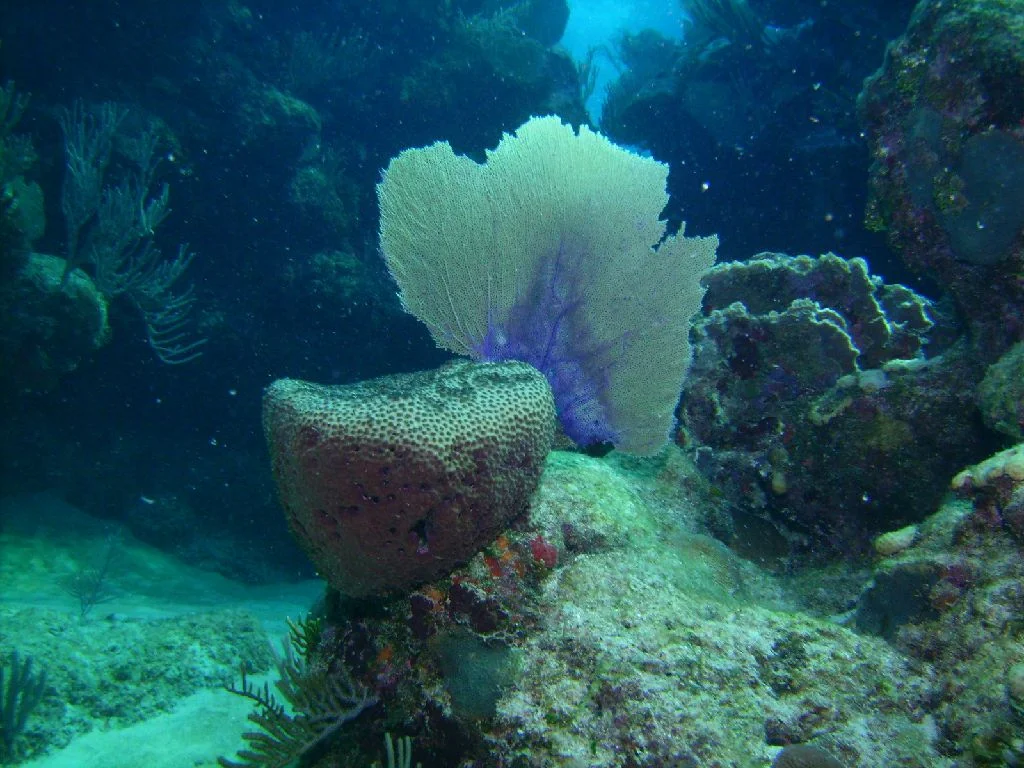 PICT0012.JPG