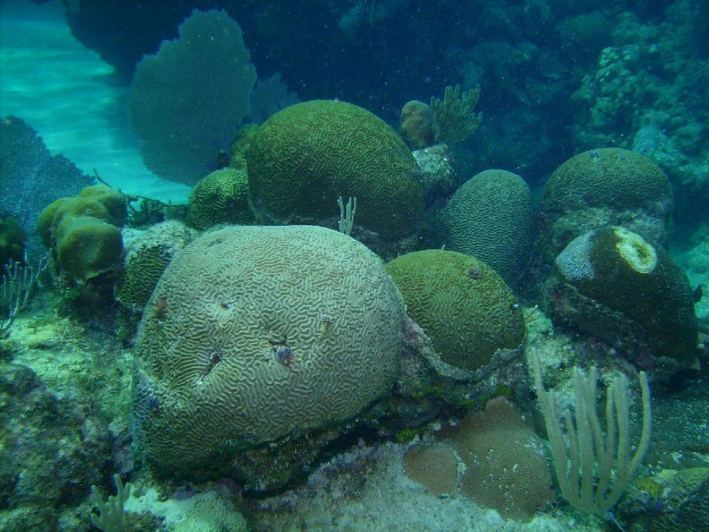 PICT0013.JPG