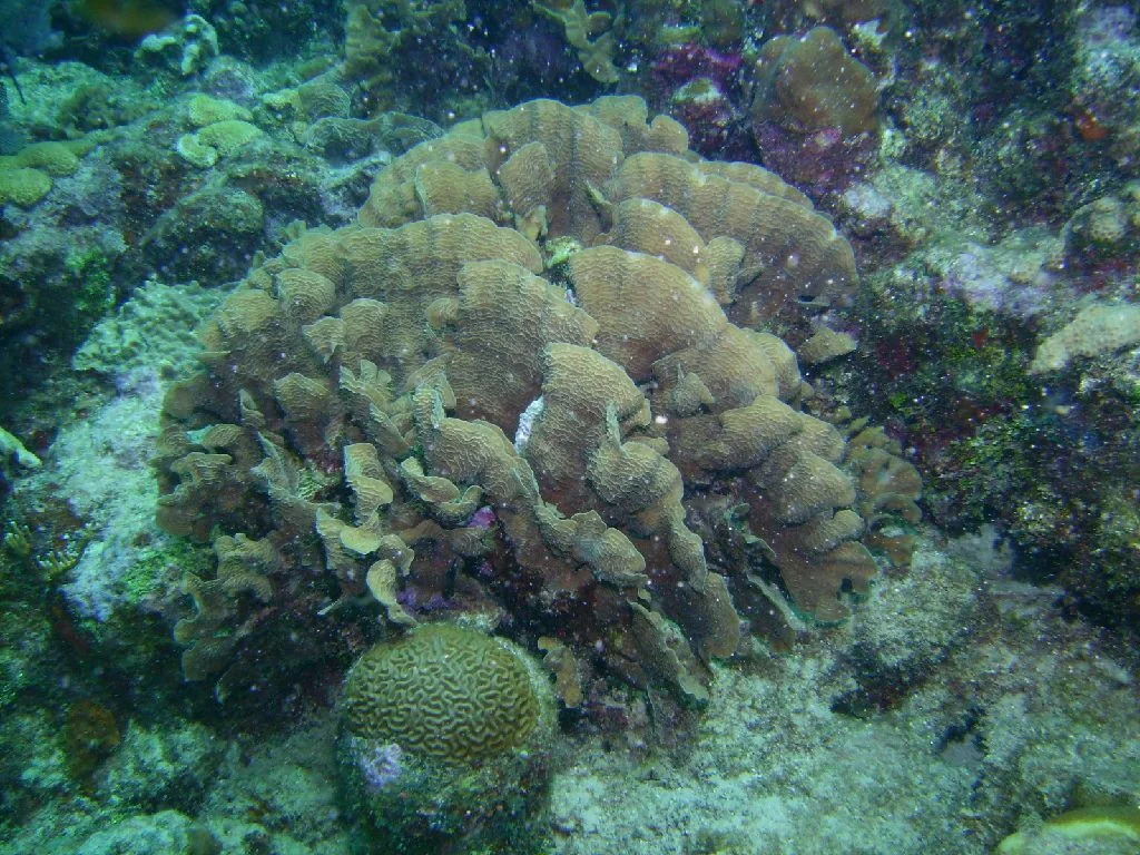 PICT0014.JPG