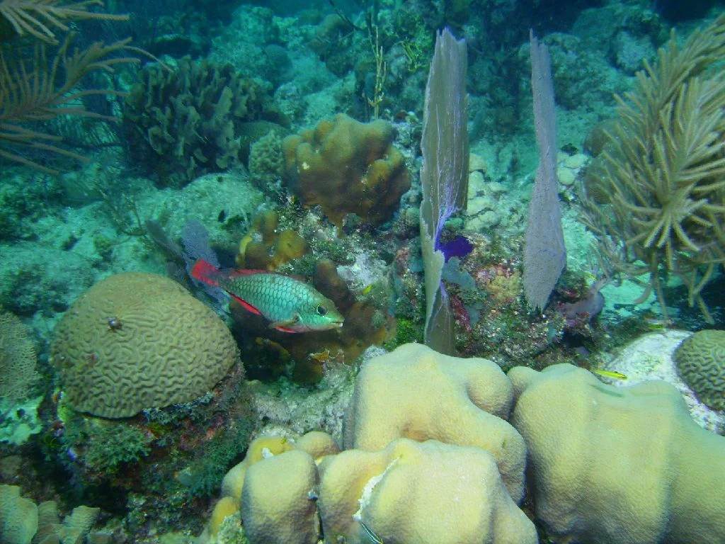 PICT0016.JPG