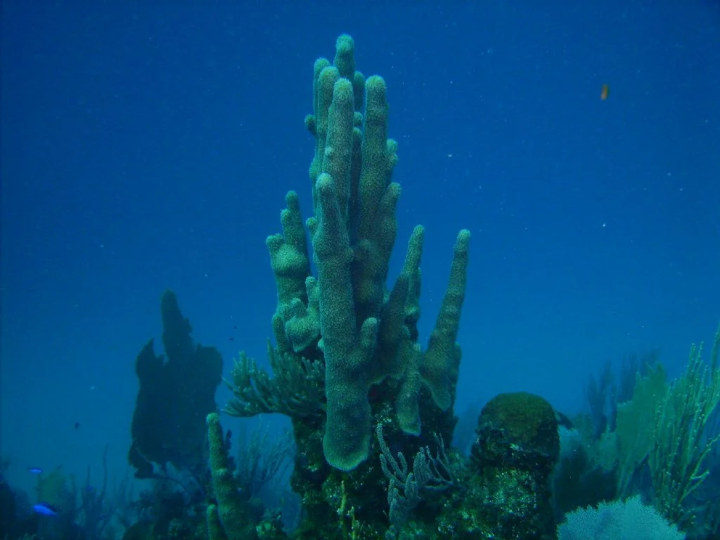 PICT0017.JPG