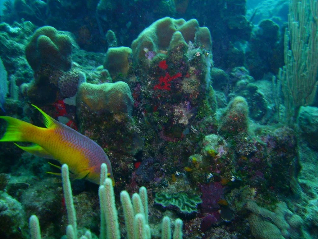 PICT0018.JPG