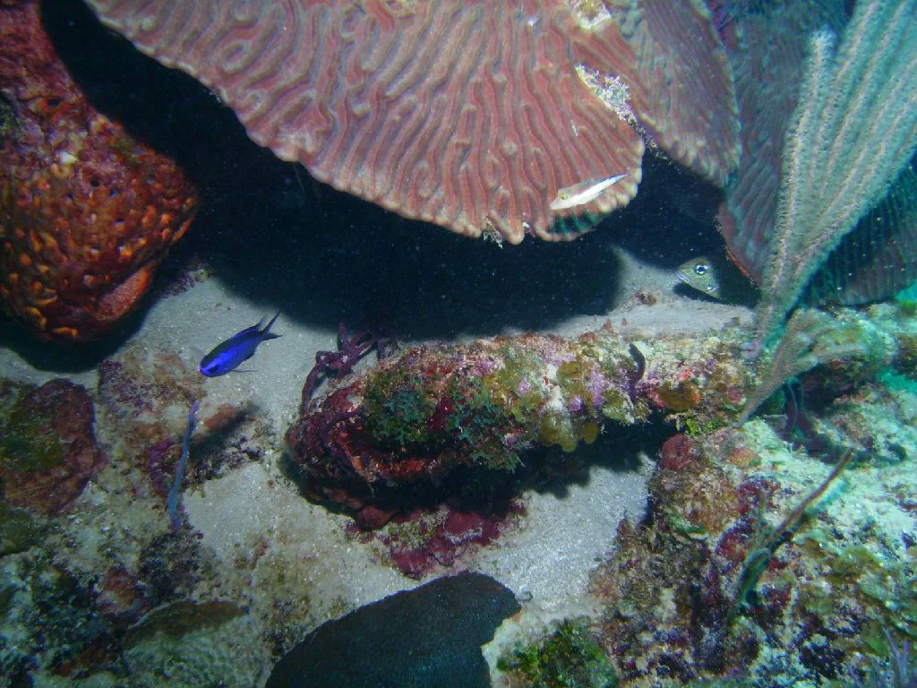 PICT0019.JPG