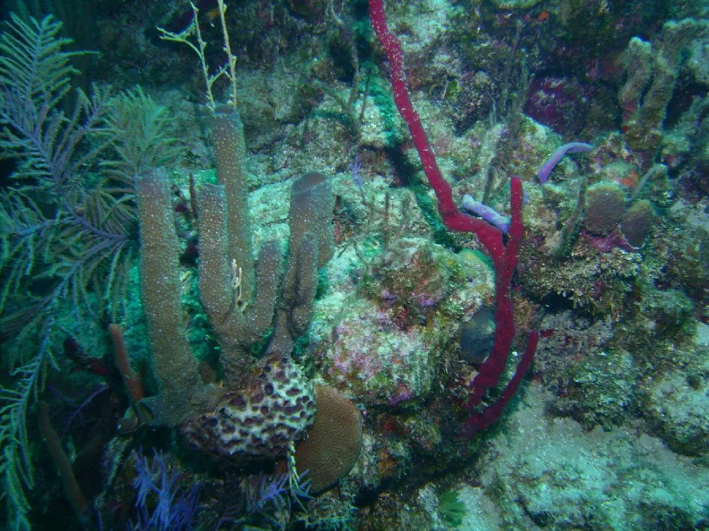 PICT0021.JPG