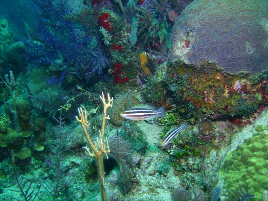 PICT0025.JPG