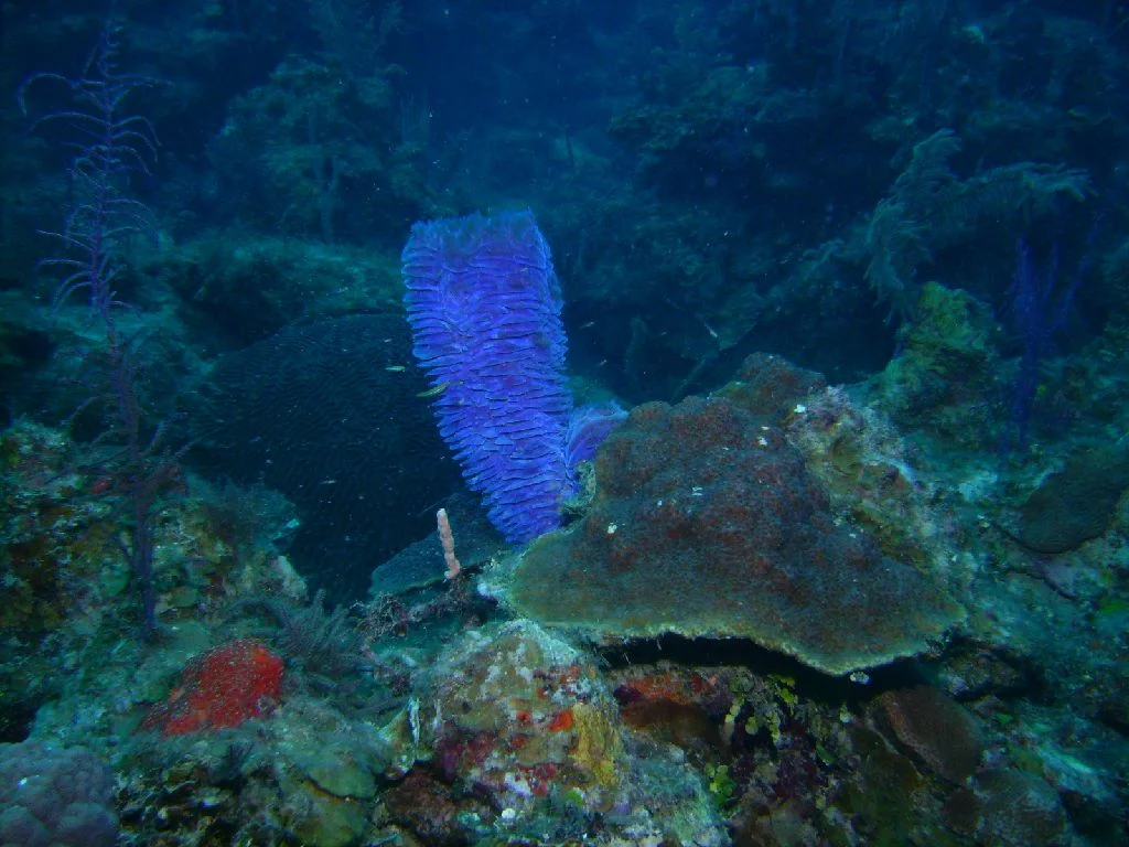 PICT0030.JPG
