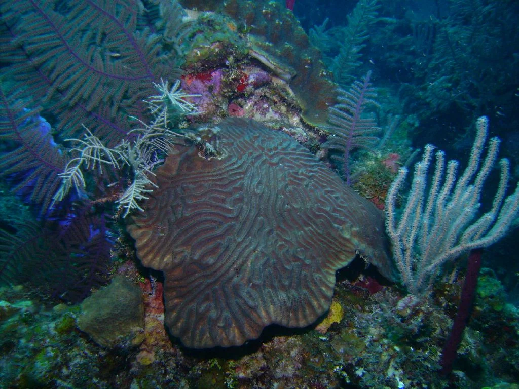 PICT0037.JPG