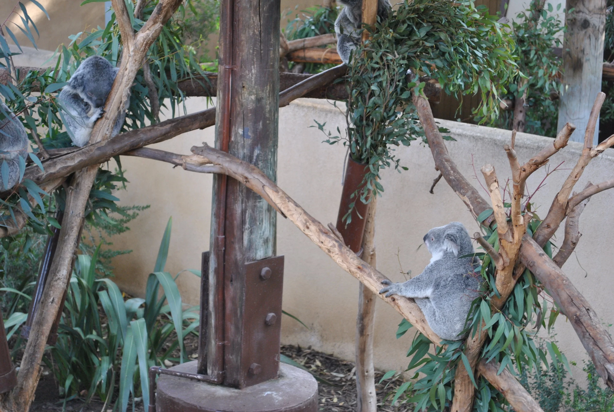 DSC_0411.jpg