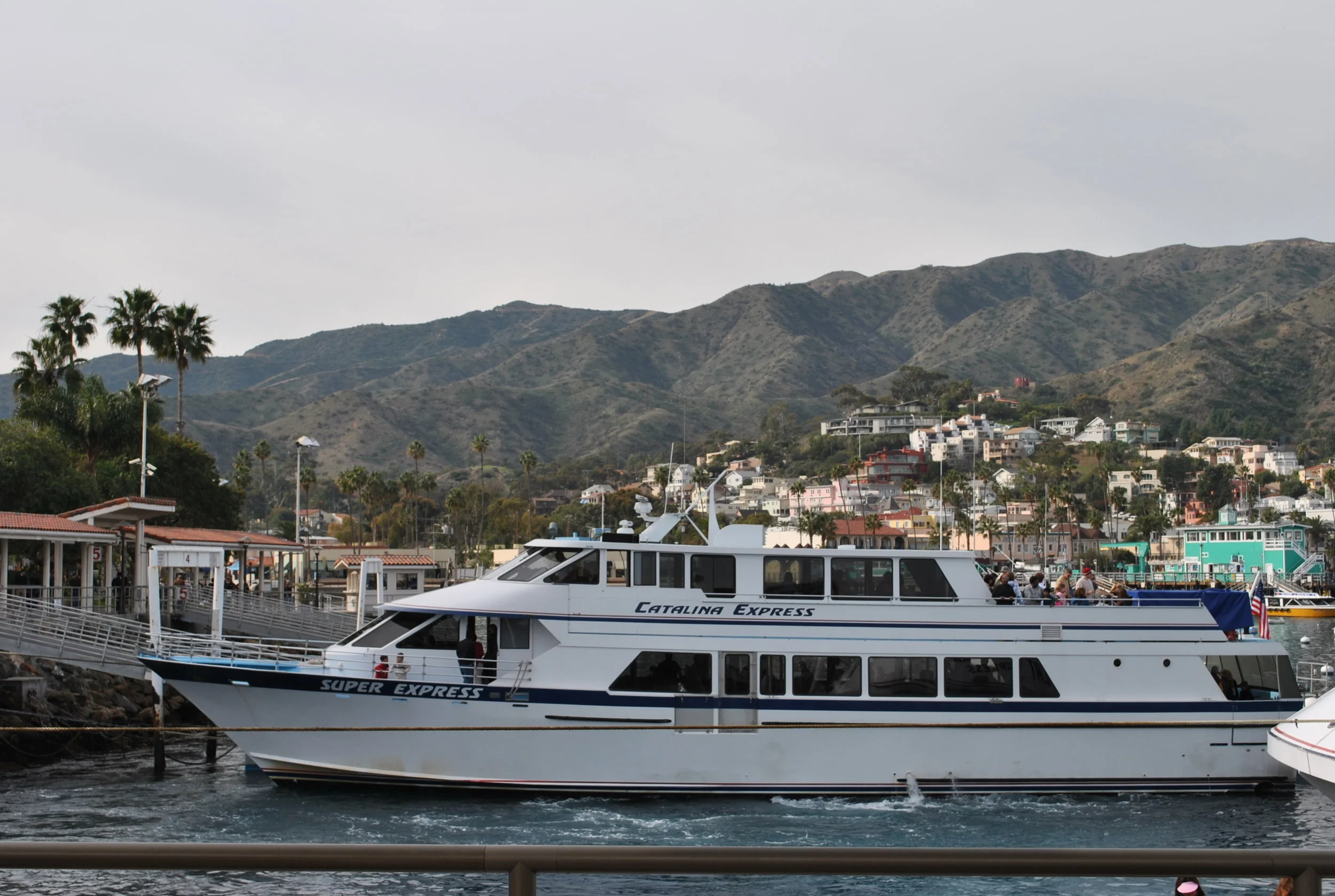 DSC_0270 - Copy.jpg