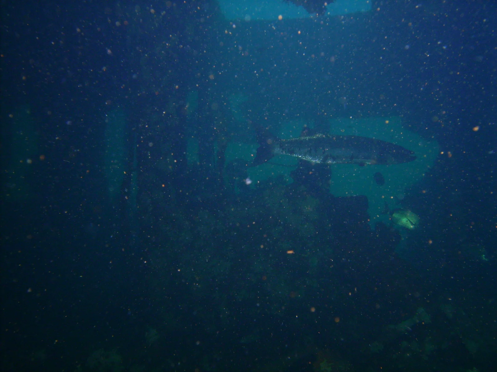 PICT0034.JPG