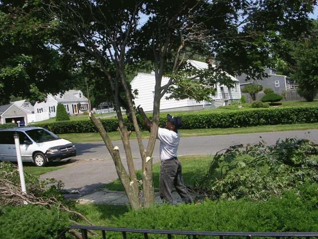 DSCN1505.JPG