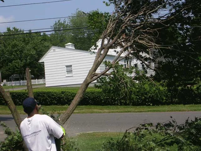 DSCN1507.JPG