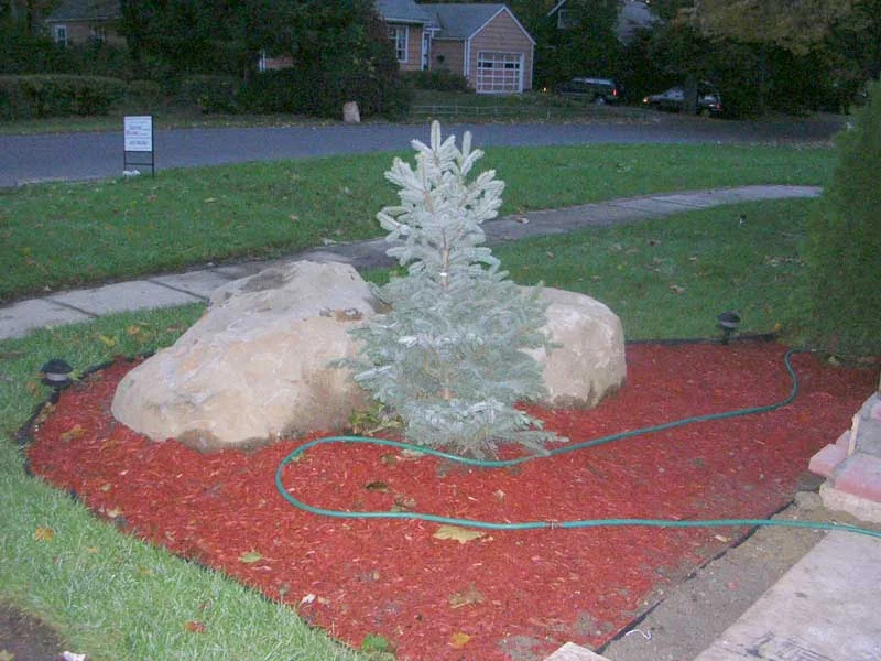 DSCN1976.JPG
