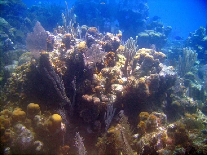 PICT0042.JPG