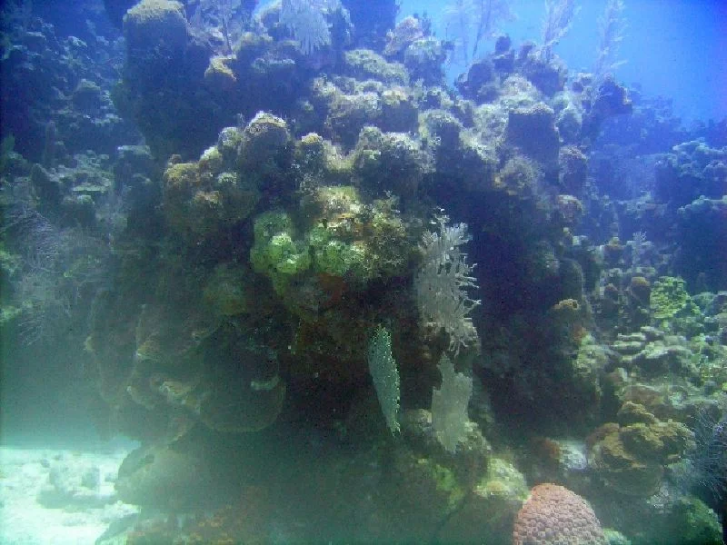 PICT0046.JPG