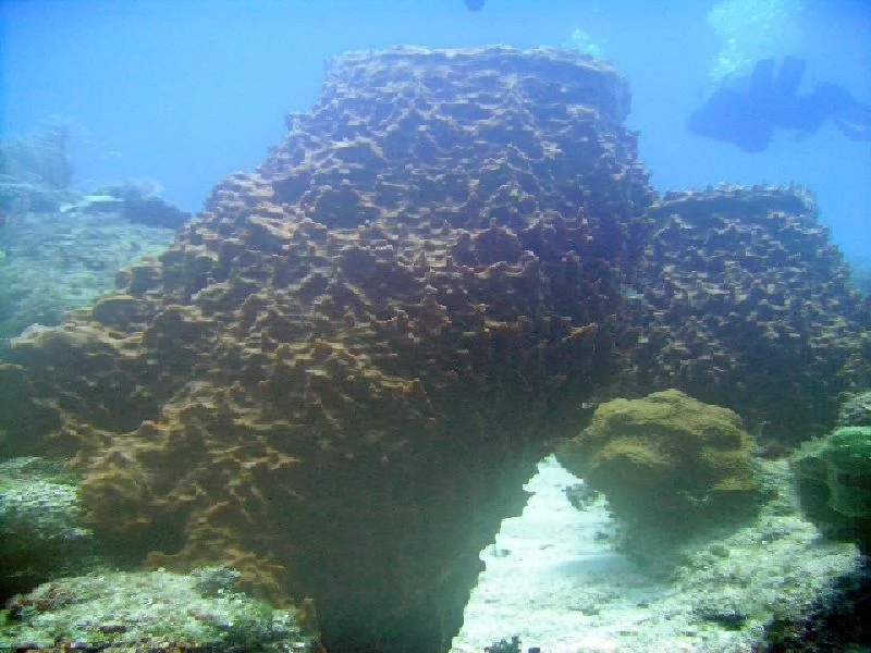PICT0048.JPG