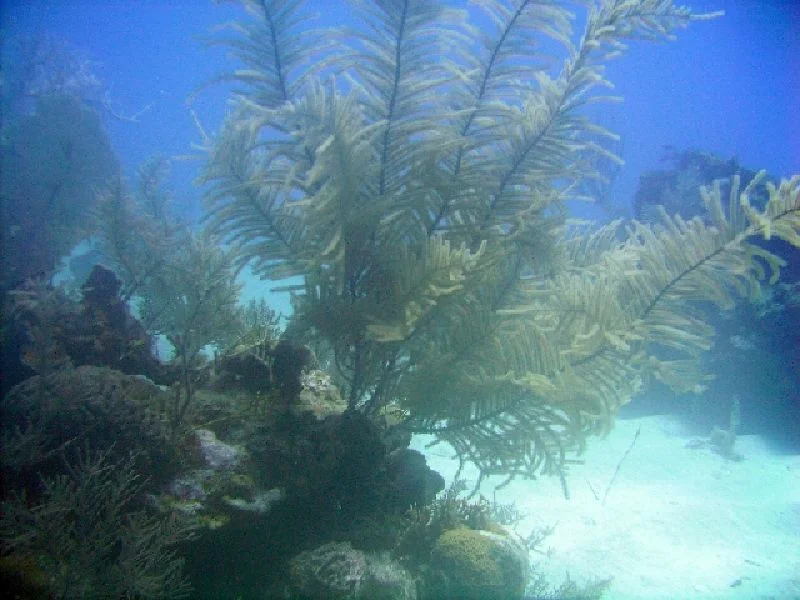 PICT0049.JPG
