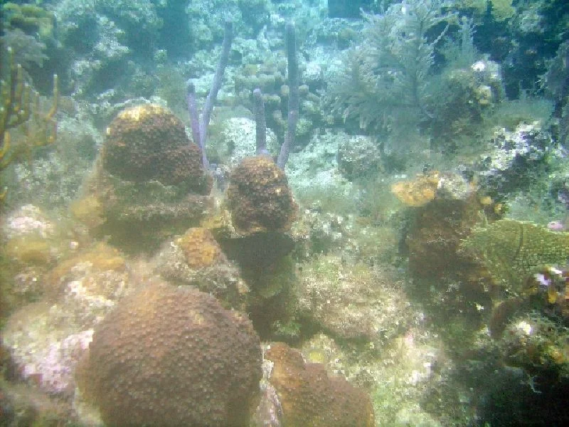 PICT0061.JPG