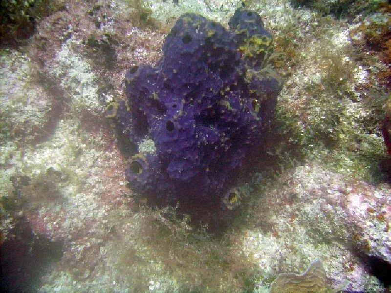 PICT0070.JPG