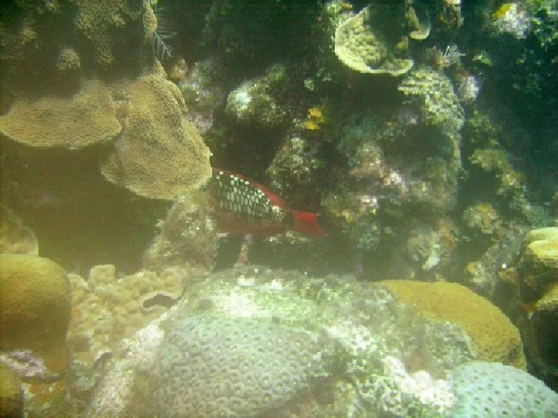 PICT0072.JPG
