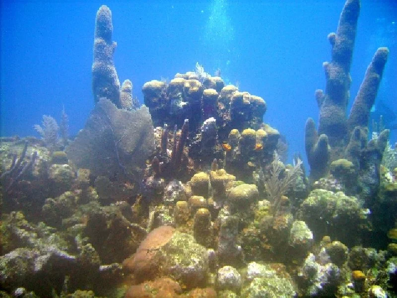 PICT0073.JPG