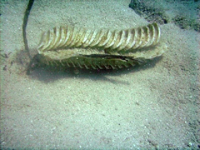 PICT0074.JPG