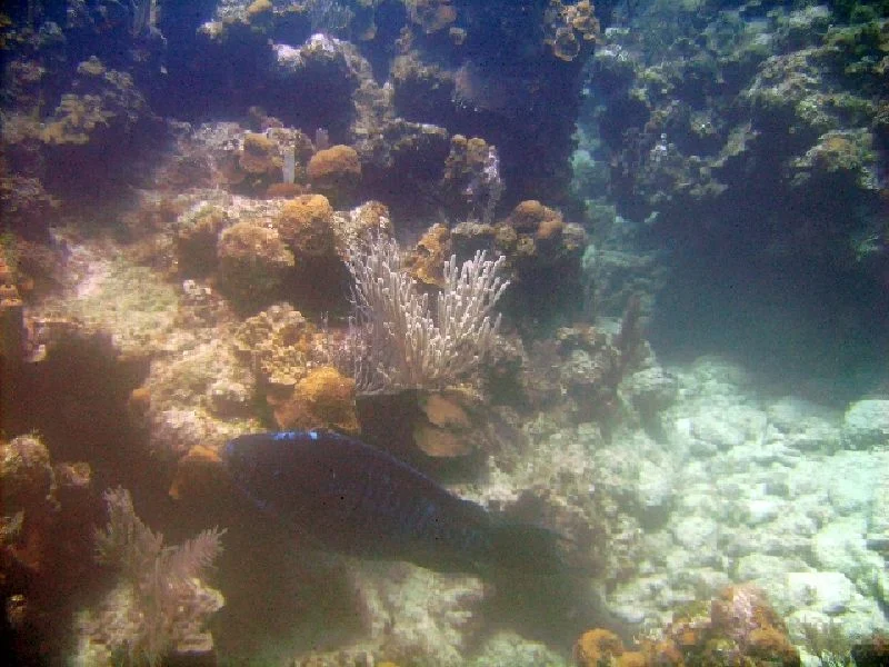 PICT0076.JPG