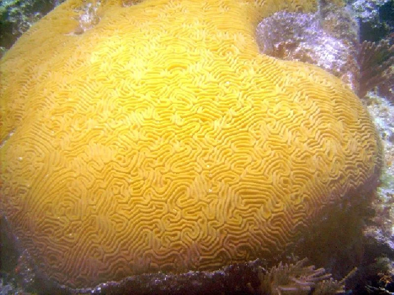 PICT0079.JPG