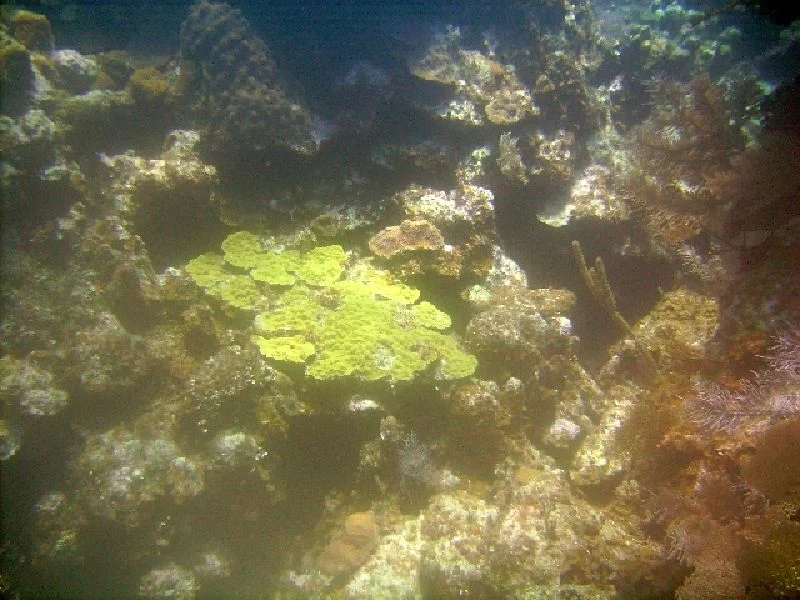 PICT0082.JPG